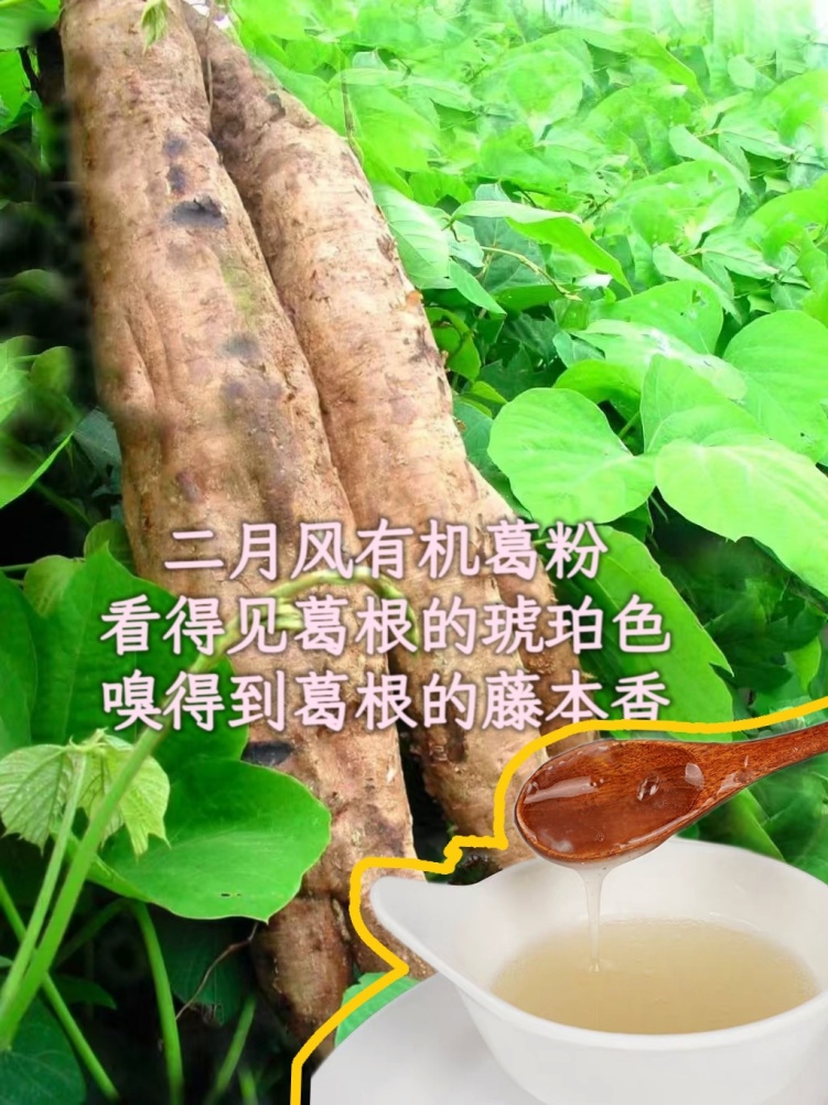 二月風有機葛粉，看得見葛根的琥珀色，嗅得到葛根的藤本香_副本.jpg
