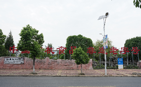 當定制葛粉時，我們真正在選擇什么？