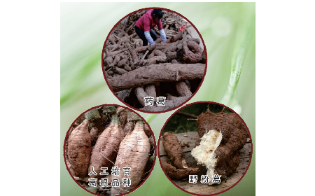 買葛粉是買野生的好？還是野生有機的好？